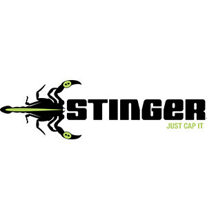logo stinger